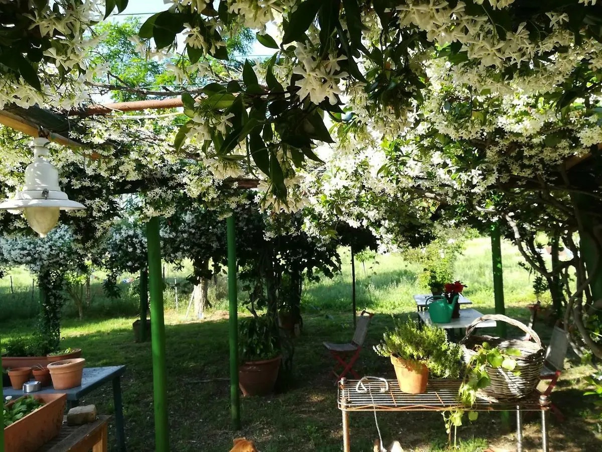Da Pino Affittacamere Montemerano